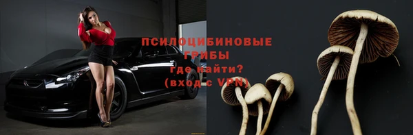 хмурый Вяземский