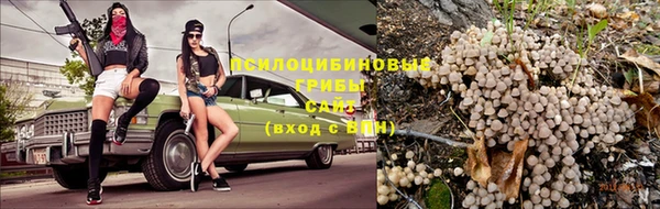 герыч Вязьма