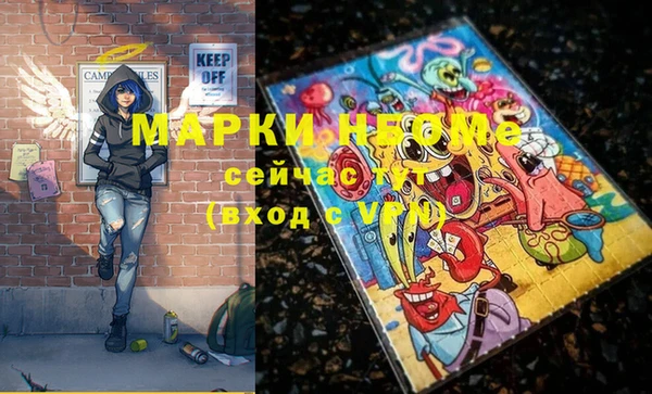 хмурый Вяземский