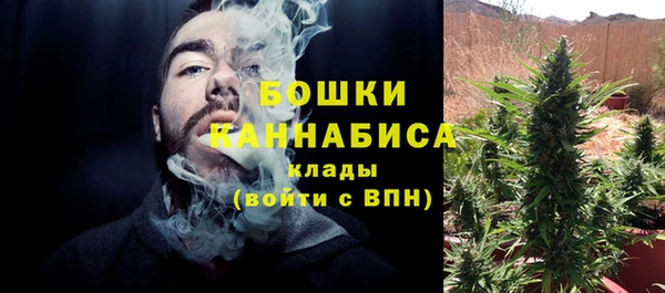 хмурый Вяземский