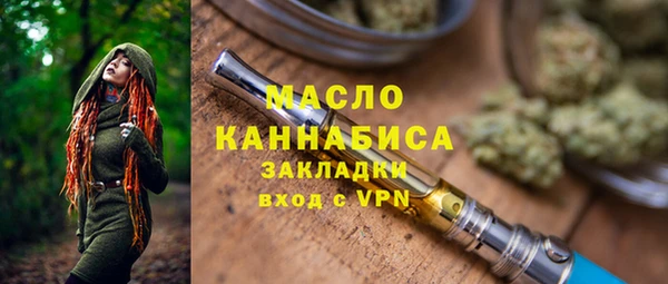 хмурый Вяземский